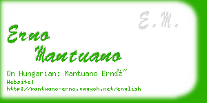 erno mantuano business card